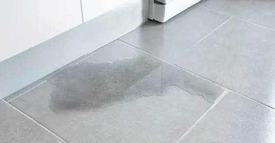 Wet floor, possibly due to underground leak