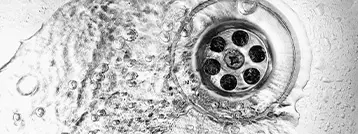 Drain Cleaning