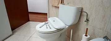 Toilet Repair